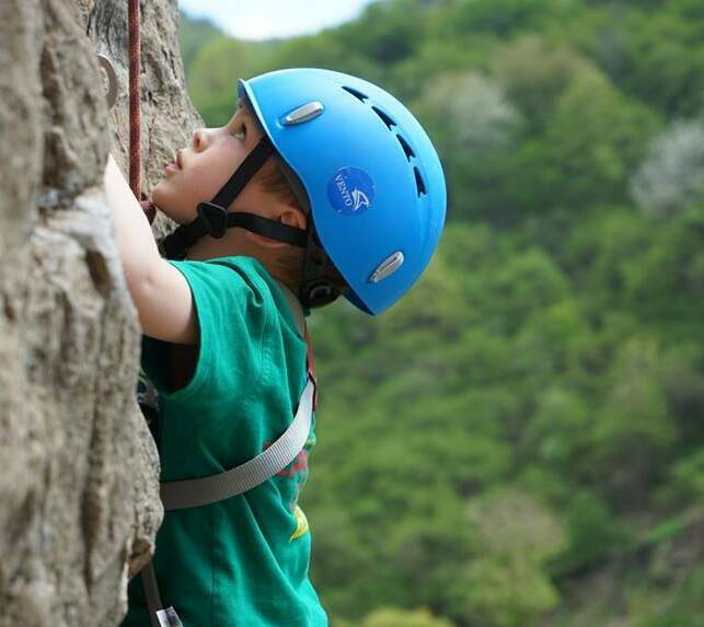 Описание изображения